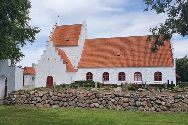Vinduespudser Faaborg naturligt
